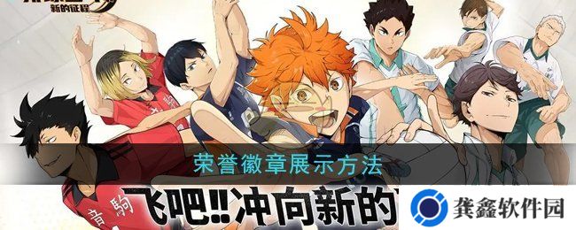 《排球少年：新的征程》荣誉徽章展示方法