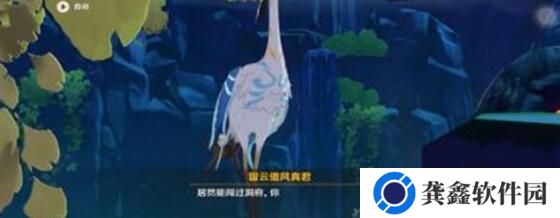 原神留云借风真君阵容搭配